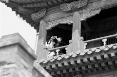 明升体育在线_明升娱乐场网址_明升m88备用网址_
其建于3.875米的人工堆砌的高台