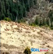 明升体育在线_明升娱乐场网址_明升m88备用网址_
据当地村民介绍